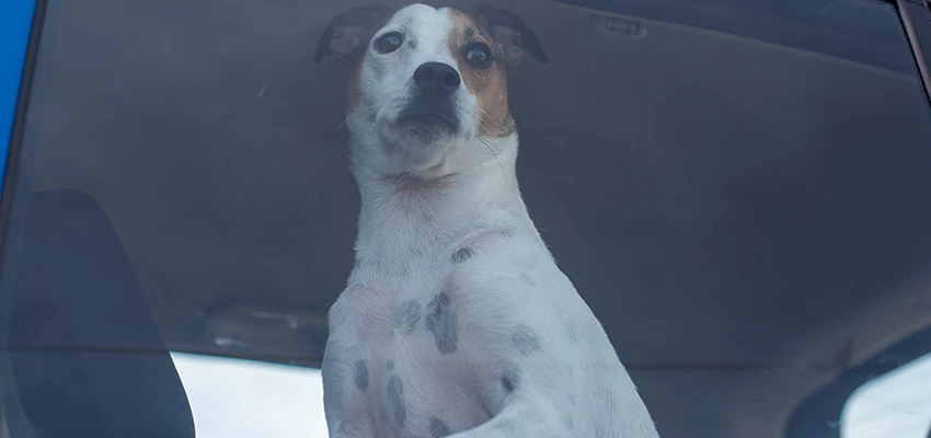 Car Lockout Solutions in Santa Ana, California